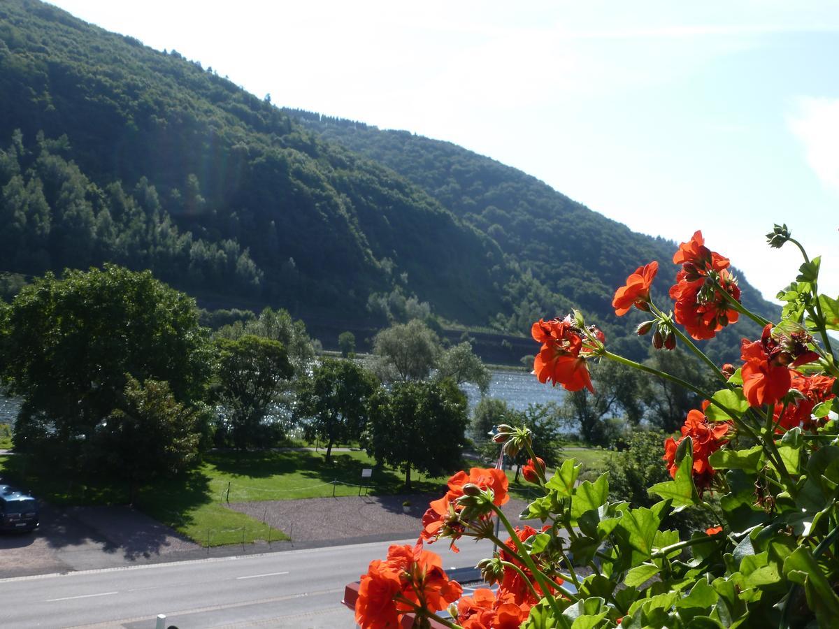 Wein- Und Gaestehaus St. Aldegundishof Sankt Aldegund Exteriér fotografie