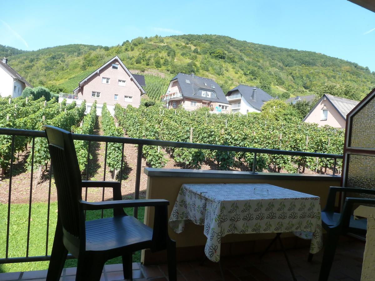 Wein- Und Gaestehaus St. Aldegundishof Sankt Aldegund Exteriér fotografie